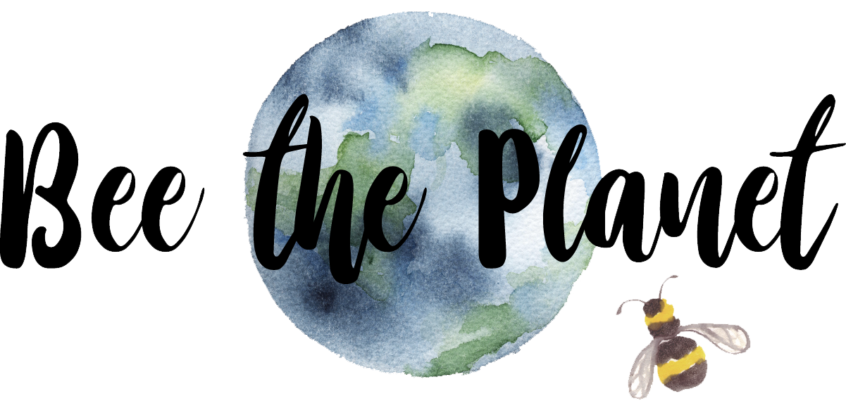 BeetheplanetlogTRANSP